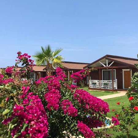 Sedir Park - Beach Bungalow Kargicak  Exterior foto