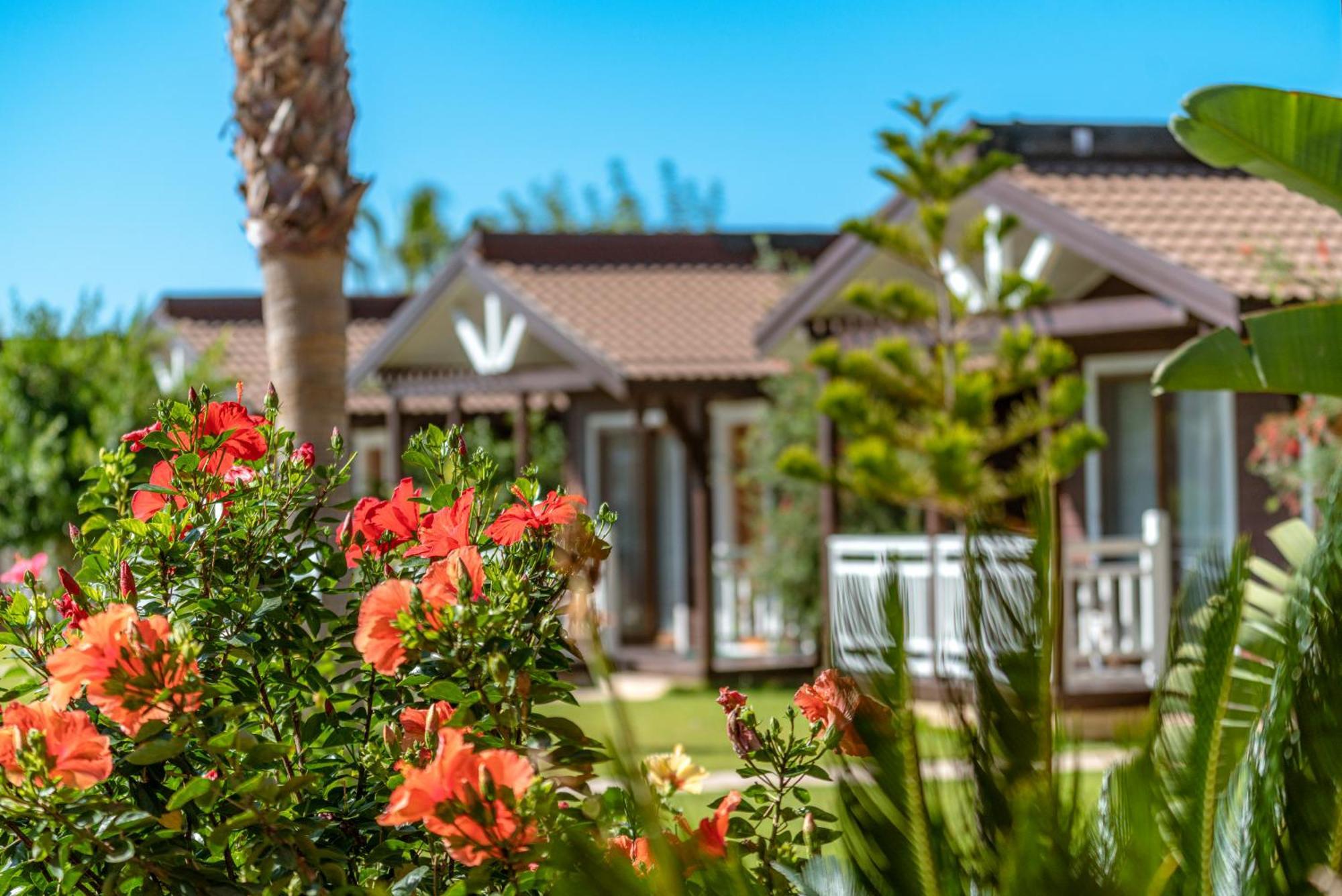 Sedir Park - Beach Bungalow Kargicak  Exterior foto