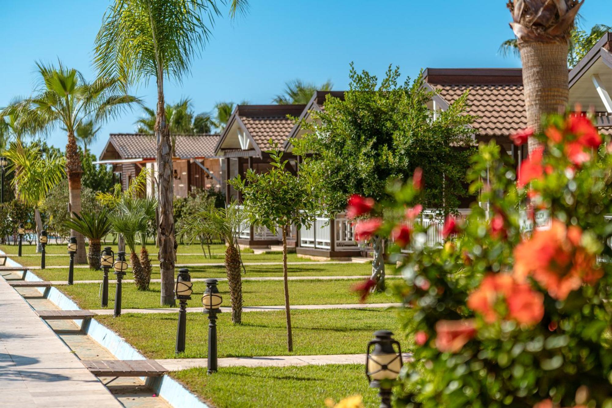 Sedir Park - Beach Bungalow Kargicak  Exterior foto