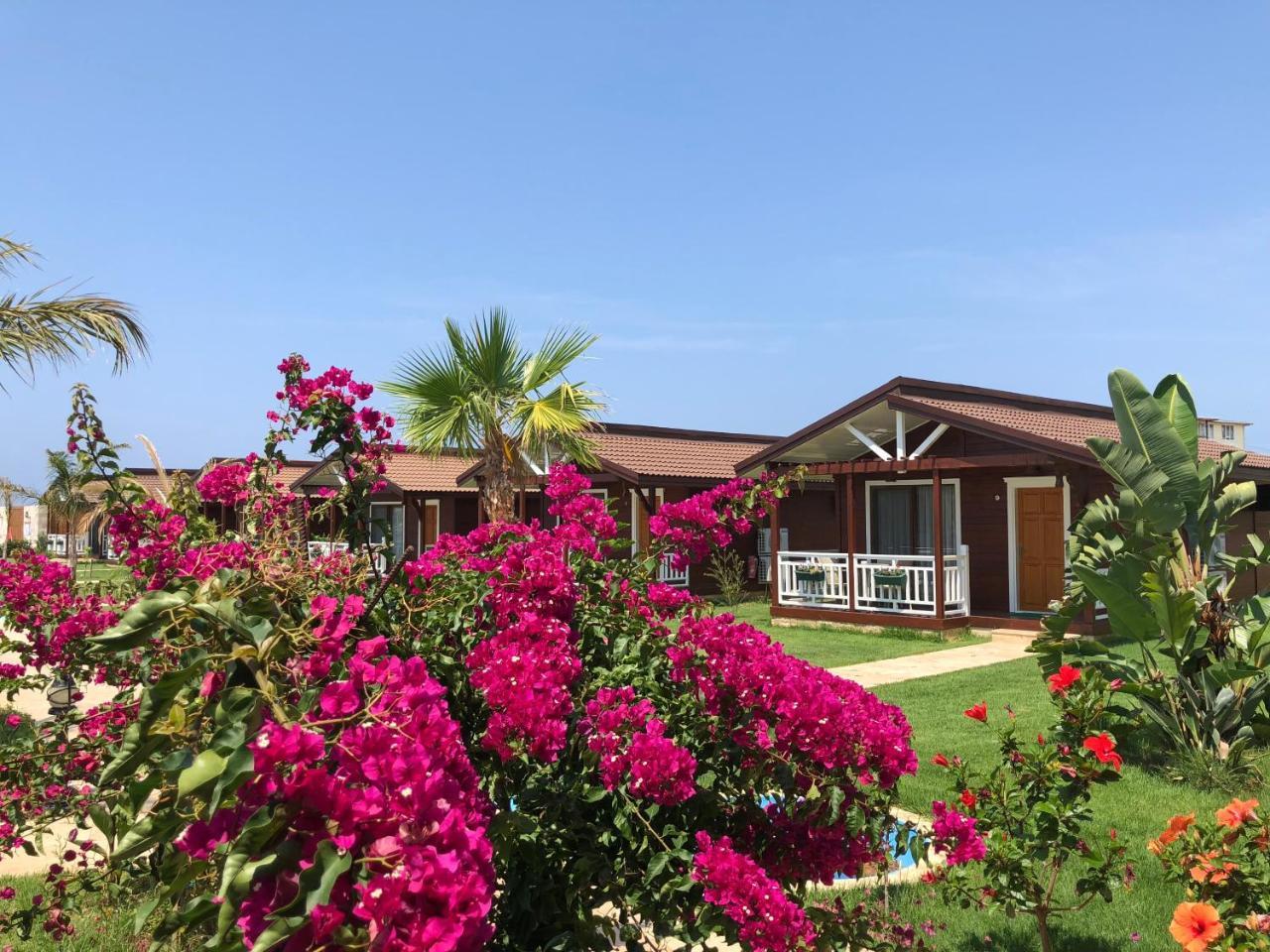 Sedir Park - Beach Bungalow Kargicak  Exterior foto